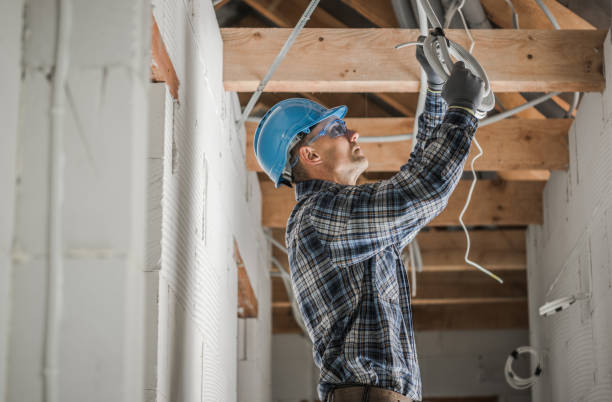 Best Residential Electrician Services  in Pilot Point, TX