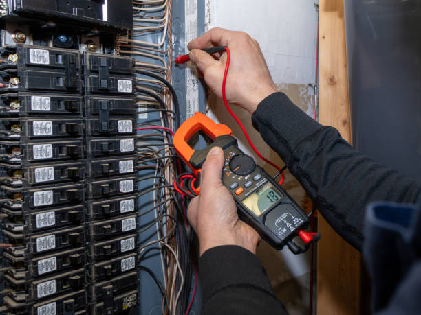 Best Electric Panel Repair  in Pilot Point, TX